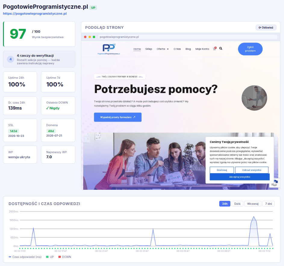 Monitoring strony - obrazek 3